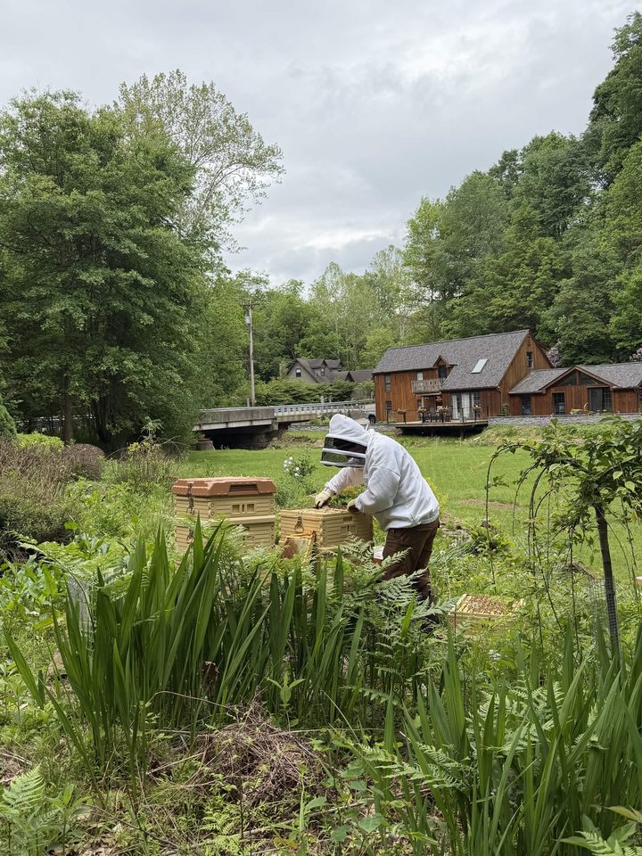 Mark, the beekeeper behind Apiary Tools