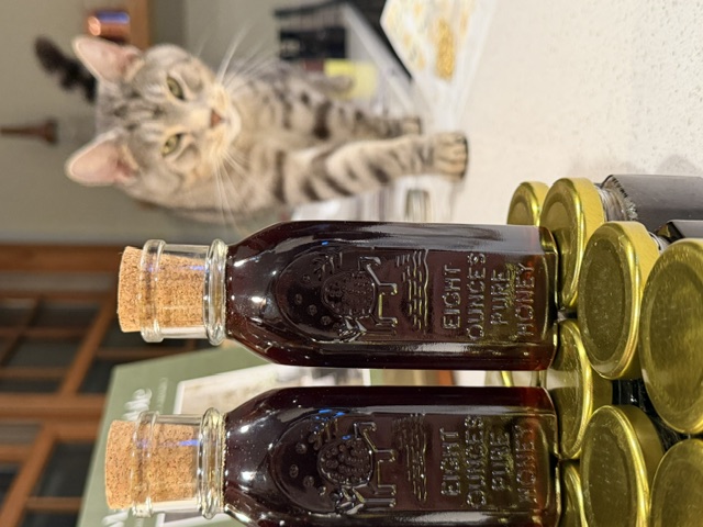 Bottles of pure honey from the apiary, with a curious tabby cat in the background
